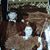 Teresa Nickelson's profile image