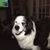 Murray DeBeara's profile image