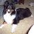 Jean Oiler's profile image