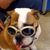 Stephanie Anderson's profile image