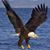 Debbie Mathis's profile image