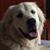 Julie Vickery Ernest's profile image