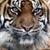 Keith Woodard's profile image