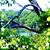 Cynthia Mader's profile image