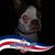Mark Potter Jr.'s profile image