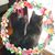 Sharon Marasco's profile image