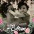 Diana Gonzalez Orta's profile image