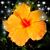 Tina Marie's profile image