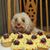 Tammy Tews-Schenk's profile image