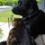 Sheree Wright's profile image