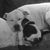 Annette Widmer's profile image
