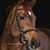 Margi Watters's profile image