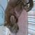 Bonnie Heimkes's profile image