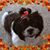 Cindy Beebee's profile image