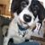 Mary Kissinger's profile image