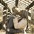 Nicole Reiter's profile image