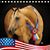 Mary Alice Cusimano Bilbro's profile image