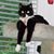 Angie Burrell's profile image