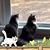 Melinda Bittler's profile image