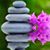 Bonnie Johnsen's profile image