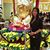 Trinh Nguyen's profile image