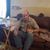 Sharon Thibodeaux's profile image
