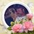 Susanne Whittaker Staples's profile image