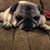 Amy Whitman-Hall's profile image