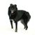 Trish O'Brien Reed's profile image