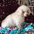 Tami Beecher's profile image
