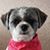 Dusty Little's profile image