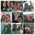 Jesus Alberto Contreras Gonzalez's profile image