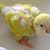 Connie Gray's profile image