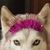 Ann Hammersmith Calano's profile image