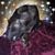 Roxy Gonzales's profile image