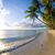 Renee Warren Christiansen's profile image