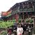 Jie Ying's profile image