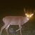 Jeremy Riggs's profile image