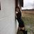 Vanessa Tomasello's profile image