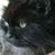 Dawn Pegg's profile image