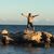 Susan Johnson Helwig's profile image