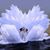 Judy Skaggs's profile image