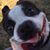Tony Bailey's profile image