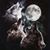 El Solo Lobo's profile image