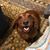 Tanya Bouloy's profile image