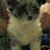 Jeff Brewer's profile image