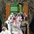 Hashem Muhamad's profile image