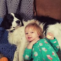 Lukas LaCrosse's profile image