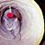 Karen Kramer Hicks's profile image