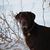 Theresa Staskiewicz's profile image
